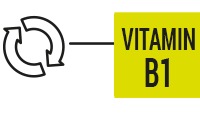 B1 VITAMIN